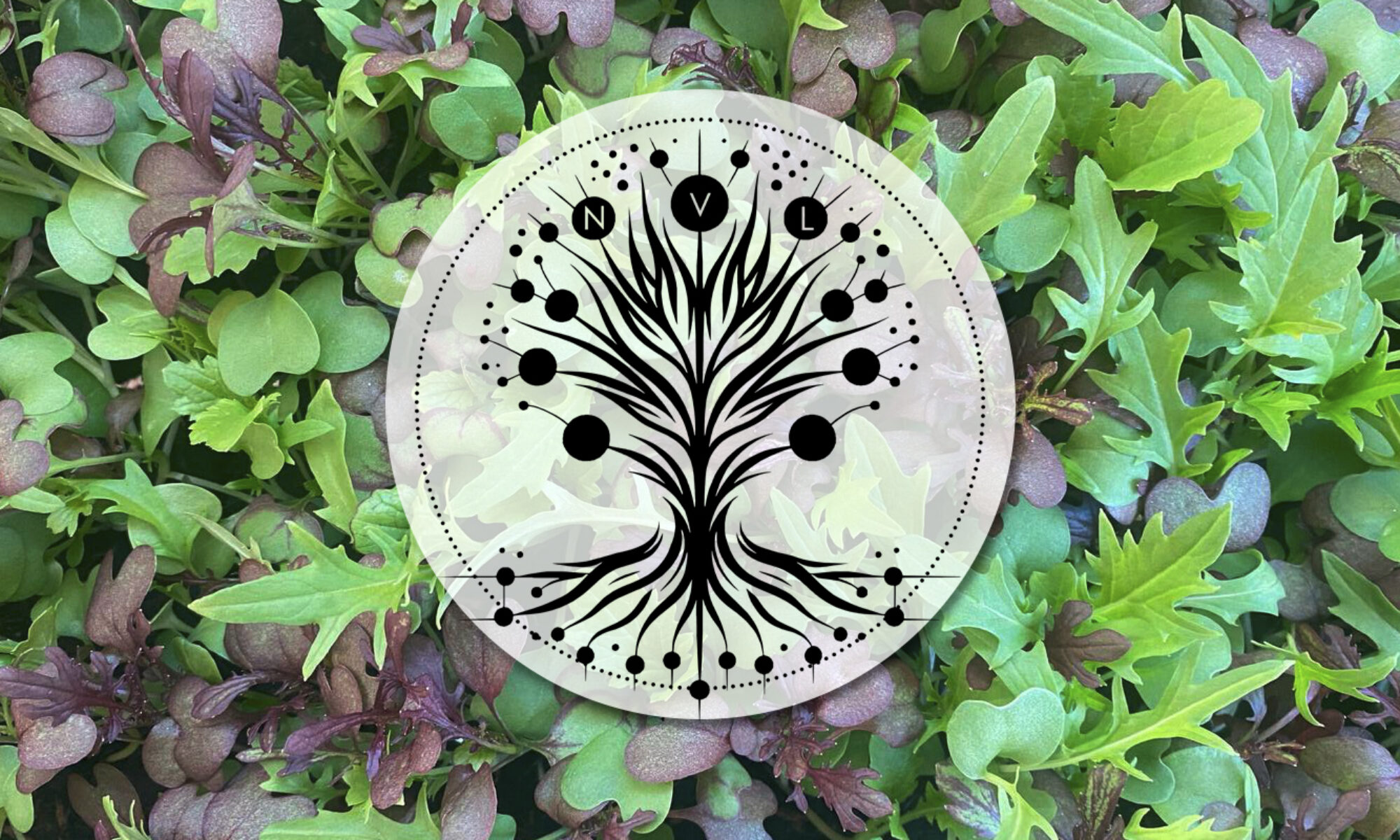 Natur Vielfalt Leben - head